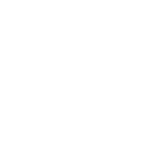 bristobot
