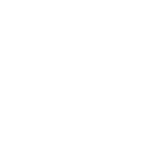 jetour single
